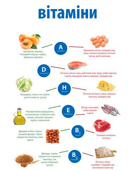 СКАЧАТИ Плакат про вітаміни в продуктах харчування