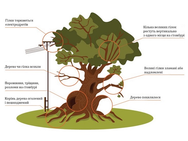 Весняні небезпеки на території ЗДО