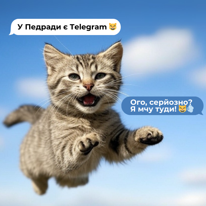 Педрада у Telegram