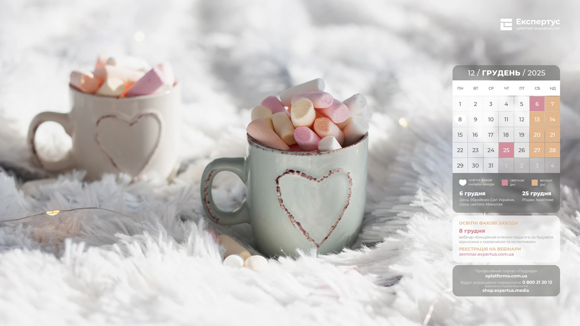 шпалери грудень