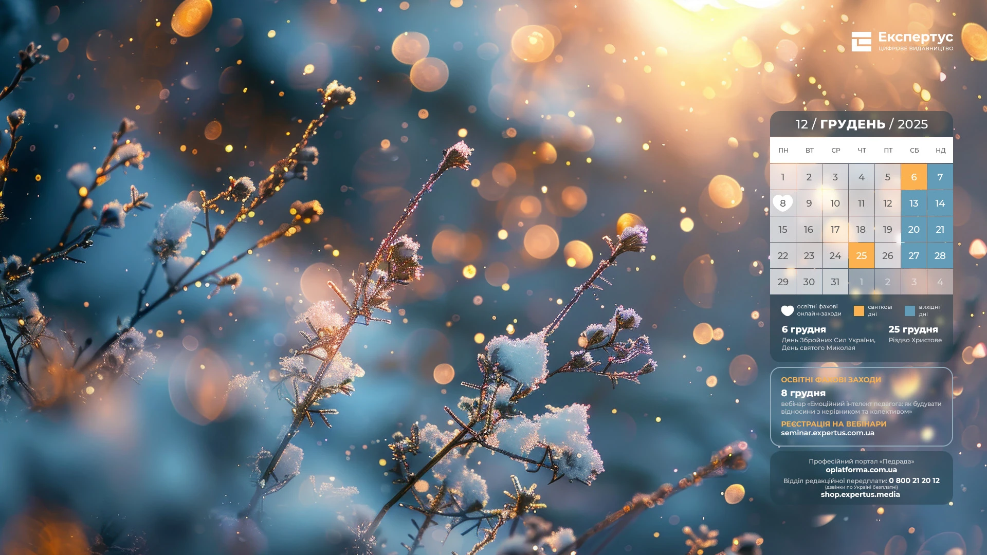 шпалери на робочий стіл зима