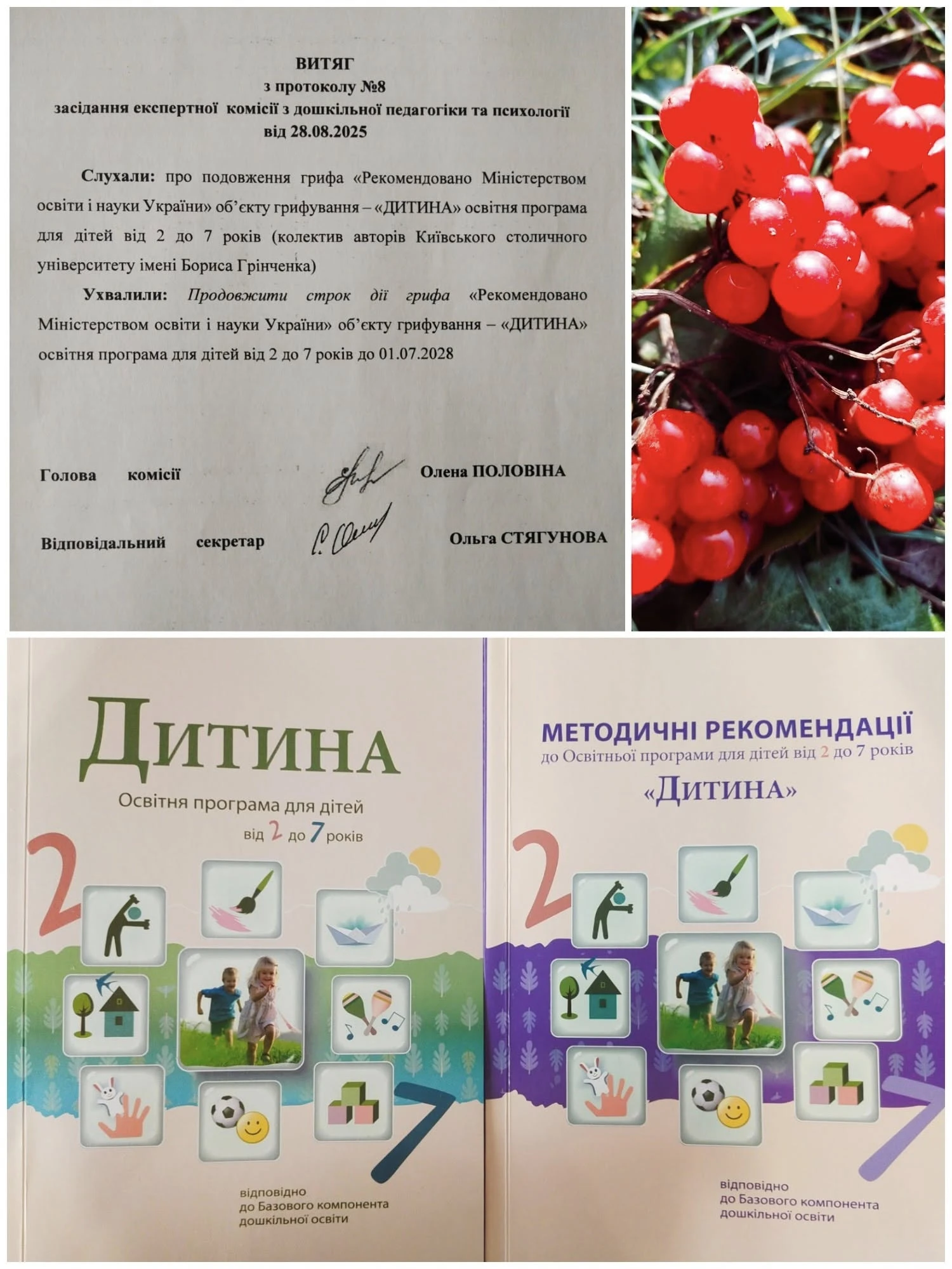 Програма «Дитина»