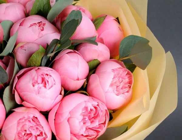 Вітаємо вас, дорогі медсестри, із професійним святом! 