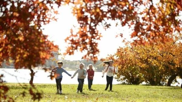 Осінні канікули в школах Києва