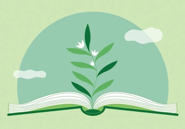 Чому екологічна освіта важлива для майбутньог