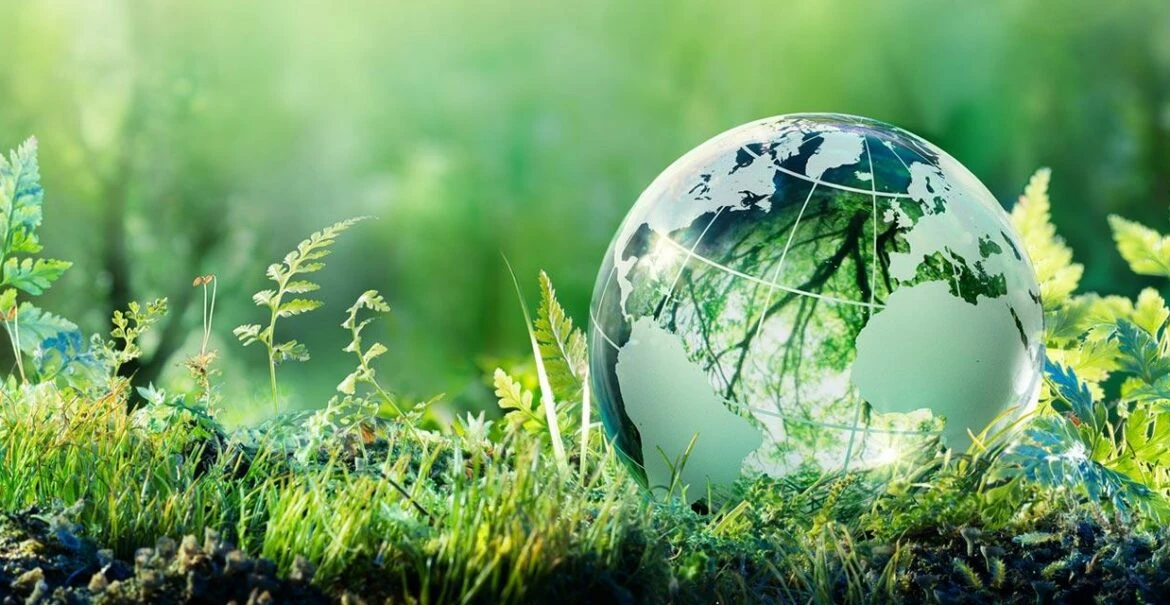 Як екологічні знання змінюють поведінку людей