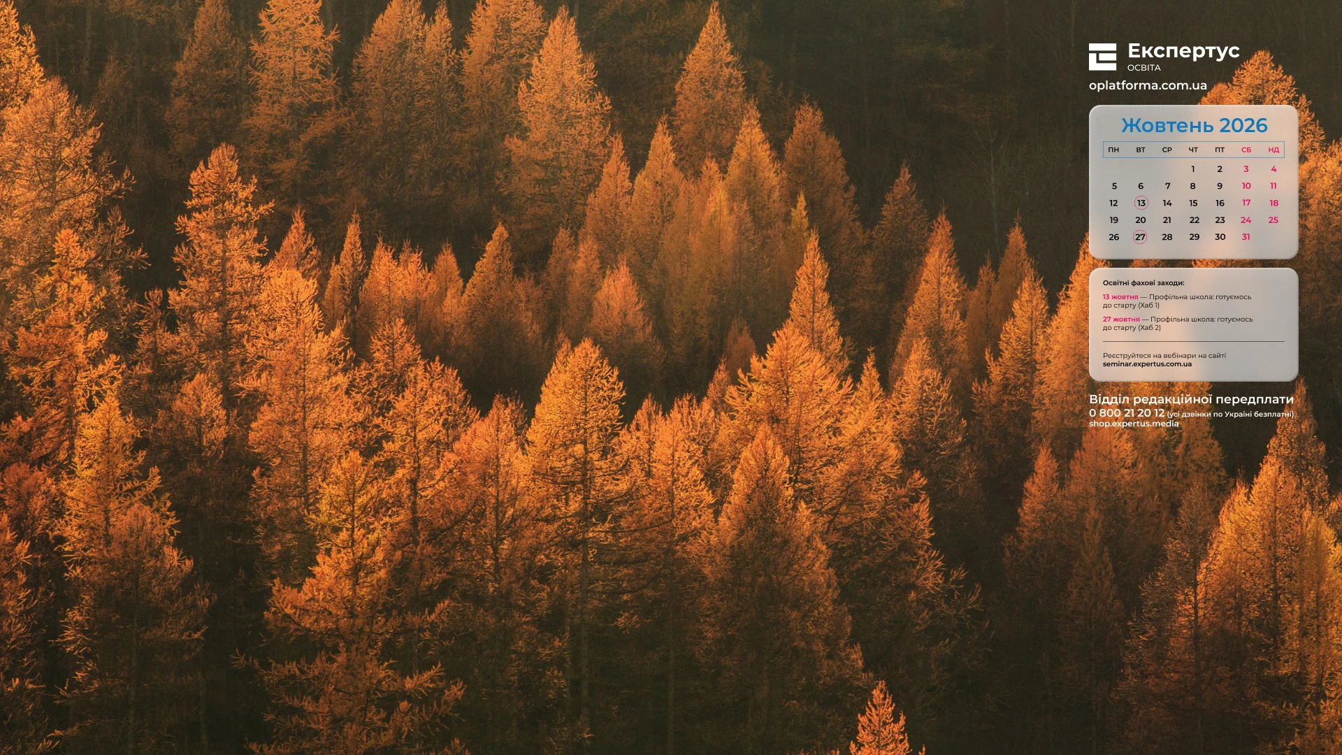 image11